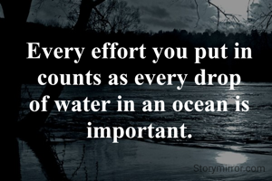 Every effort you put in counts as every drop of water in an ocean is important.