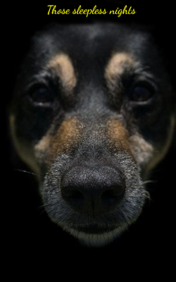 Those Sleepless Nights