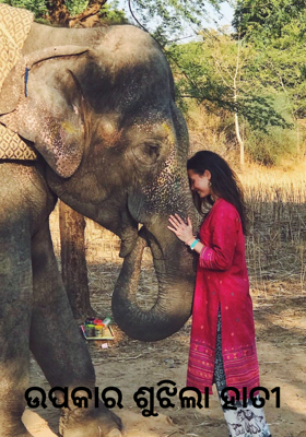ଉପକାର ଶୁଝିଲା ହାତୀ