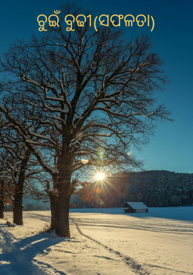 ଚୁଇଁ ବୁଢୀ