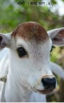 शामी - भाग ४