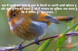 जब मैं पहली बार सुबह के घास के मैदानों पर अपनी आंखें खोलता हूं और सुंदर दुनिया को देखता हूं, तो मैं भगवान का शुक्रिया अदा करता हूं कि मैं जीवित हूं।  शुभ प्रभात...!