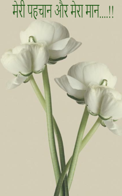 मेरी पहचान और मेरा मान