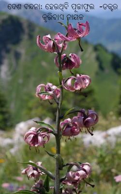 ଦେଶ ବନ୍ଦନା: ହେଉଥିବି ପୂଜାଫୁଲ