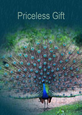 Priceless Gift