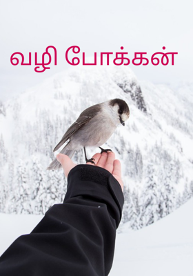 வழி போக்கன் 