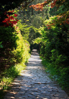 मेरी मां