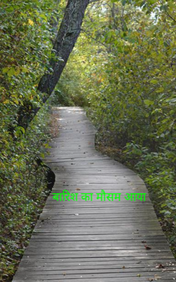 बारिश का मौसम आया