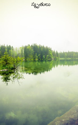 స్మృతులు