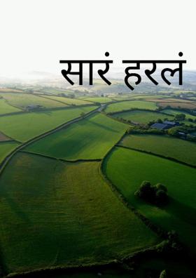 सारं हरलं