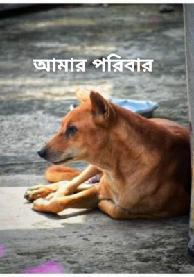 আমার পরিবার