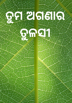 ତୁମ ଅଗଣାର ତୁଳସୀ