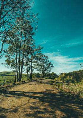 ON THE WAY TO THE GREENS