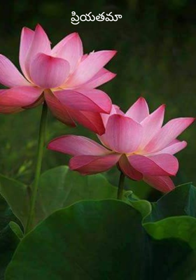 ప్రియతమా