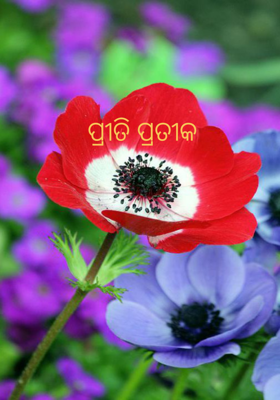 ପ୍ରୀତି ପ୍ରତୀକ