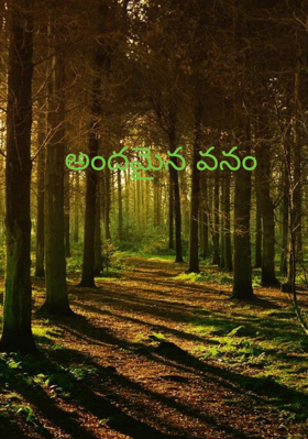 అందమైన వనం