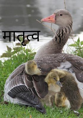 मातृत्व