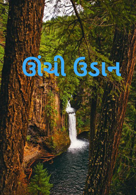 ઊંચી ઉડાન