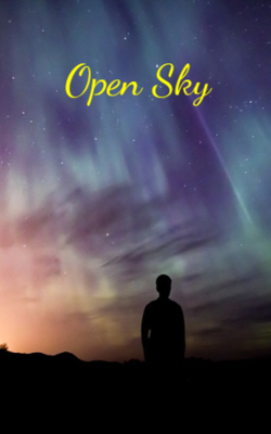 Open Sky