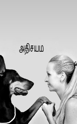 அதிசயம்