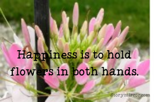 Happiness is to hold flowers in both hands.