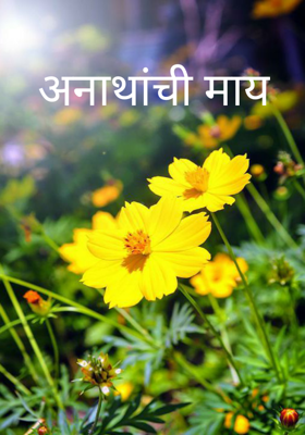 अनाथांची माय