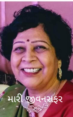 મારી જીવનસફર