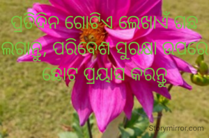 ପ୍ରତିଦିନ ଗୋଟିଏ ଲେଖାଏଁ ଗଛ ଲଗାନ୍ତୁ, ପରିବେଶ ସୁରକ୍ଷା ଉପରେ ଛୋଟ ପ୍ରୟାସ କରନ୍ତୁ