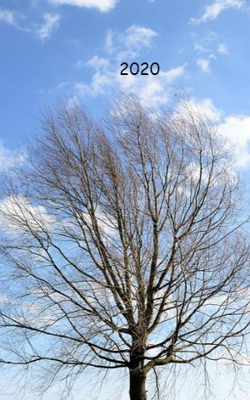 2020