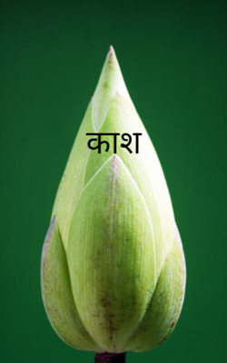 काश