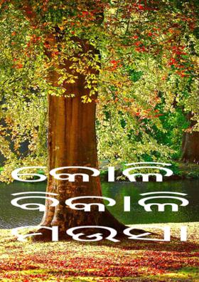 କୋଳି ବିକାଳି ମଉସା