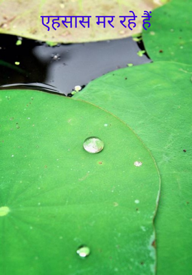 एहसास मर रहे हैं