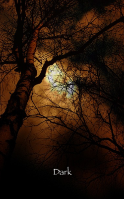 Dark