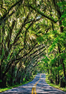 पर्यावरण