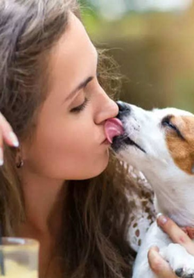 इंसान और कुत्ते