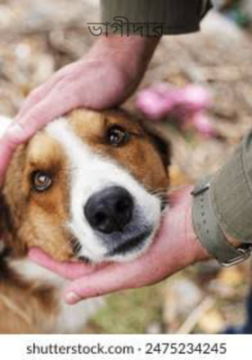 ভাগীদার