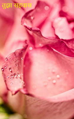 तुझा सहवास