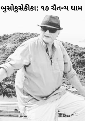 બુસોકુસેકીકા - ૧૭