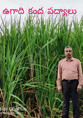 ఉగాది కంద పద్యాలు