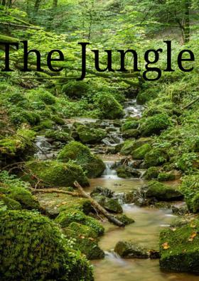 The Jungle