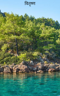 वितृष्ण