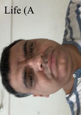 Life (A Struggle)