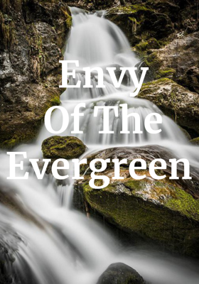 Envy Of The Evergreen 