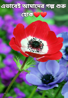 এভাবেই আমাদের গল্প শুরু হোক