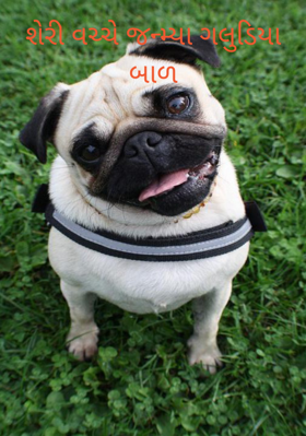 ગલુડિયા બાળ