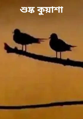 শুষ্ক কুয়াশা