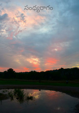 సంధ్యరాగం