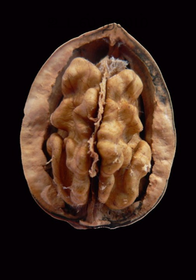 உடல் நலம்