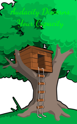 Audacity Discerns Your Capacity