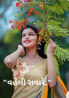 વહેલી સવારે.